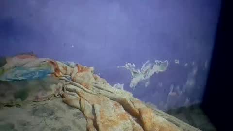 dias2914858 online show from March 2, 5:08 am