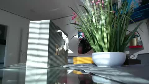 squirtcock online show from December 18, 12:23 pm