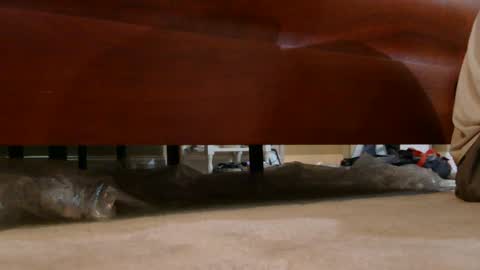 dildosnme22 online show from August 3, 7:29 am