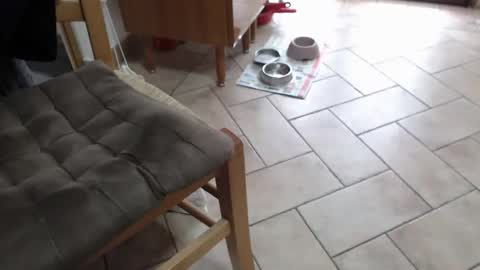 dirtyman8603 online show from February 1, 10:47 am