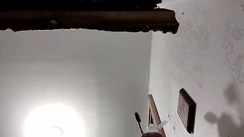 dixonbird41 online show from February 18, 3:54 pm