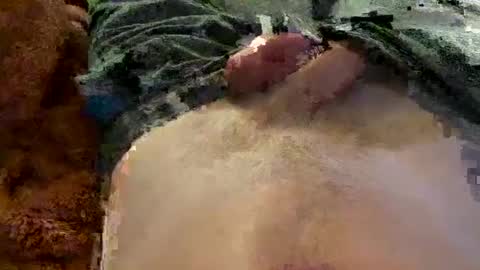 dn030533 online show from September 15, 3:19 am