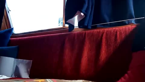 doghouseblue online show from January 13, 3:58 pm