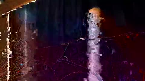 doghouseblue online show from September 14, 11:45 am