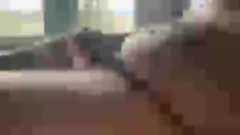 domdaddy5000 online show from July 9, 11:52 pm