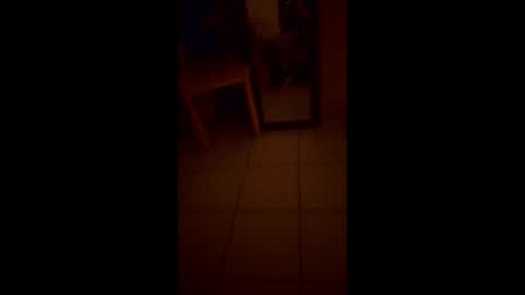 JaydonCam online show from April 13, 7:03 pm