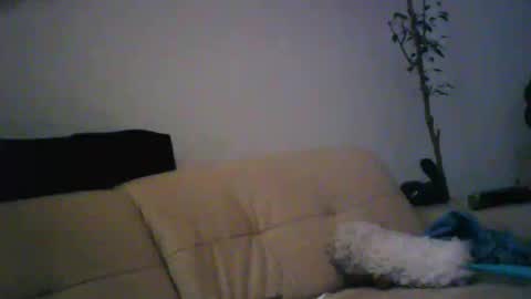 donosus online show from January 18, 1:29 am