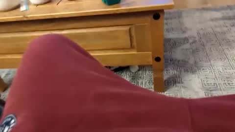 drippingrabbit online show from February 8, 10:58 pm