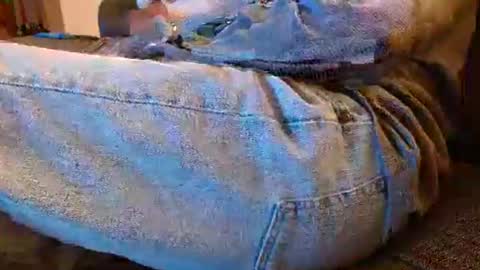 dunany101 online show from November 8, 2:15 am