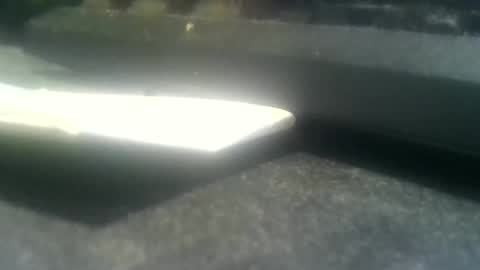 dutchboym online show from April 9, 6:19 am