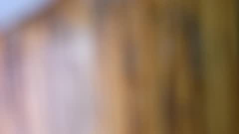 dVe1oPe online show from September 10, 9:41 am