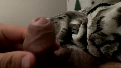 Dylan online show from February 12, 4:01 am