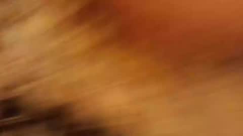 Its4u420 online show from March 31, 11:45 am