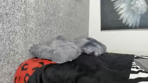 edi_stwix18 online show from January 13, 3:38 pm