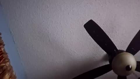 Santos online show from February 16, 9:51 am