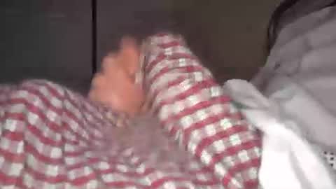 eliexavier123456789 online show from April 21, 5:35 am