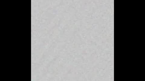 Zeki online show from March 22, 2:55 pm