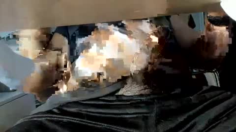 EricBishop1 online show from September 21, 12:49 pm