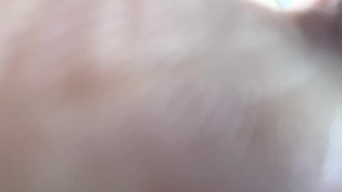 essde123 online show from December 1, 9:34 am