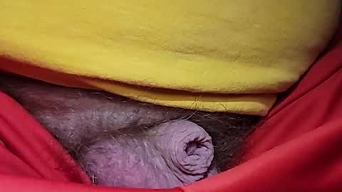 EV47 online show from February 17, 8:02 am