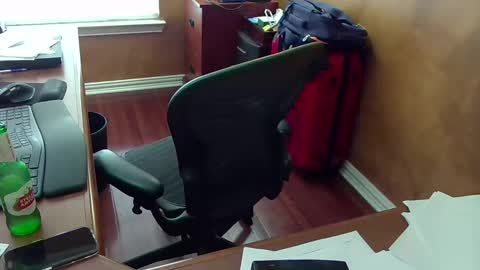 exhibitman69_ldb online show from October 31, 9:51 pm