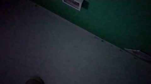 experttreecompany online show from February 19, 9:39 am