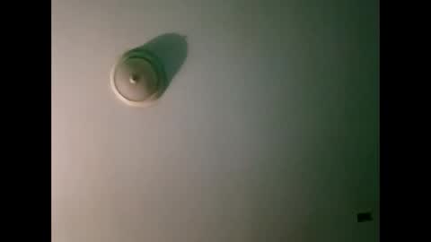 experttreecompany online show from March 21, 10:31 am