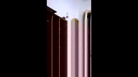 weza online show from April 6, 12:07 am