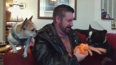 fairmount31 online show from March 12, 1:30 pm