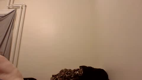 fairtouching online show from October 8, 2:38 am