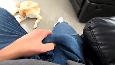 faker1414 online show from March 19, 3:48 pm