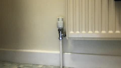 Alex online show from December 3, 9:53 am