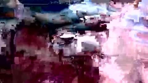 fede_02_96 online show from September 16, 5:41 am