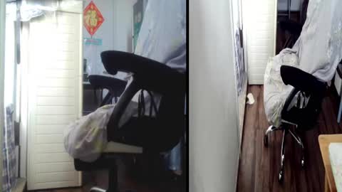 felixlau online show from March 23, 5:35 am