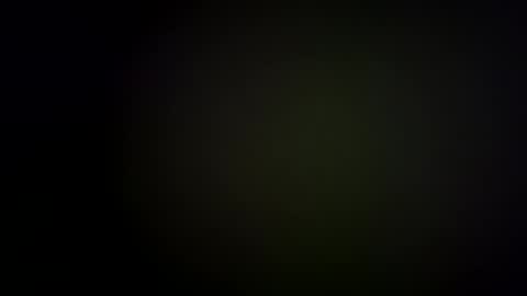 Snapshot of fifi010203 chatting on January 9, 11:14 am fifi010203 online show from January 9, 11:14 am