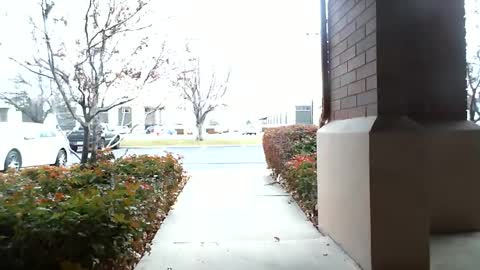 Snapshot of fit_hung_sub chatting on December 16, 5:33 pm pain slut daren online show from December 16, 5:33 pm