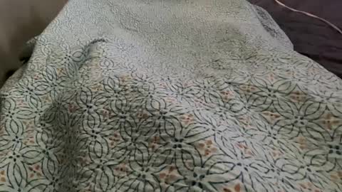 Jat online show from December 29, 4:19 pm