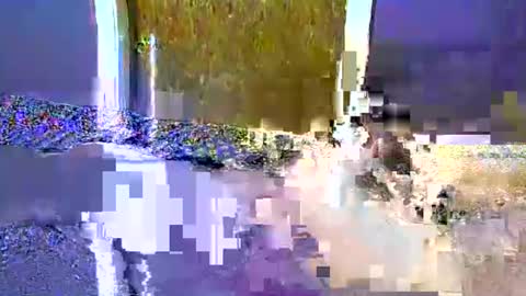 flex480 online show from February 17, 1:26 am