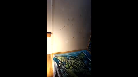 forgottenyeti online show from January 5, 5:27 pm