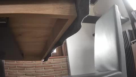 fra  71 online show from April 1, 2:25 pm