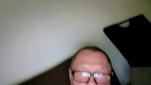 Wolfi online show from June 1, 1:55 pm