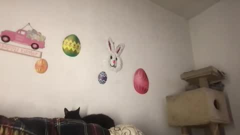 Freddy Foot Balls online show from March 23, 11:10 pm