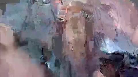 freshzozoboy online show from November 18, 6:28 am