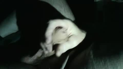 frobinhood1st online show from February 15, 5:13 am