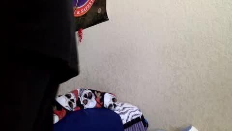 fromthabac online show from July 27, 6:26 pm