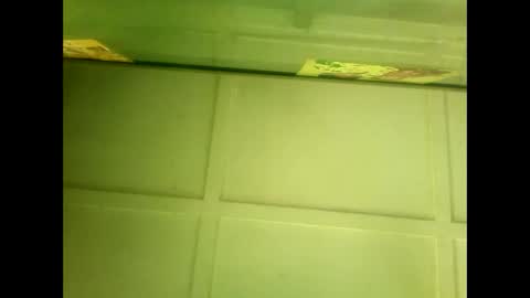 Warwick online show from January 7, 5:45 am