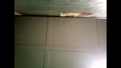 Warwick online show from December 16, 8:31 am