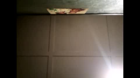 Warwick online show from February 15, 12:11 pm