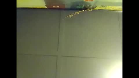 Warwick online show from October 15, 8:00 am