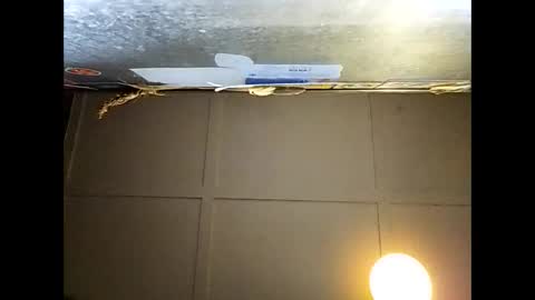 Warwick online show from November 29, 9:22 am